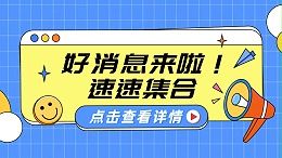 广州衡安国际货代：国际海运运输的定制化先锋